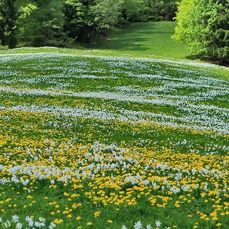 Dom Pristava * Jesenice