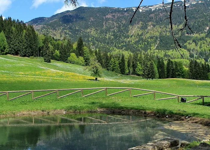 Dom Pristava 招待所