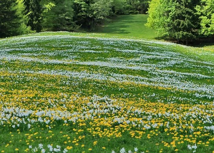 Dom Pristava * Jesenice